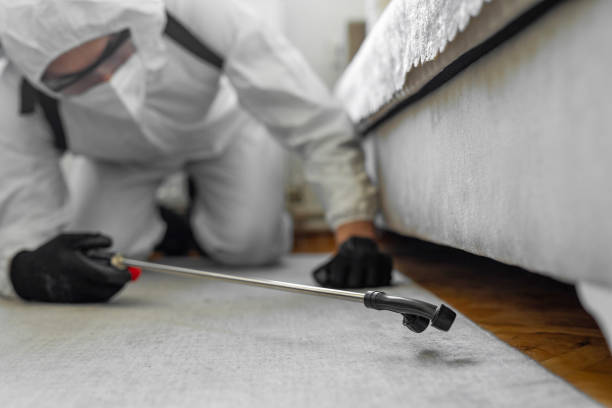 Professional Cockroach Control technician working in Lorain County County, OH